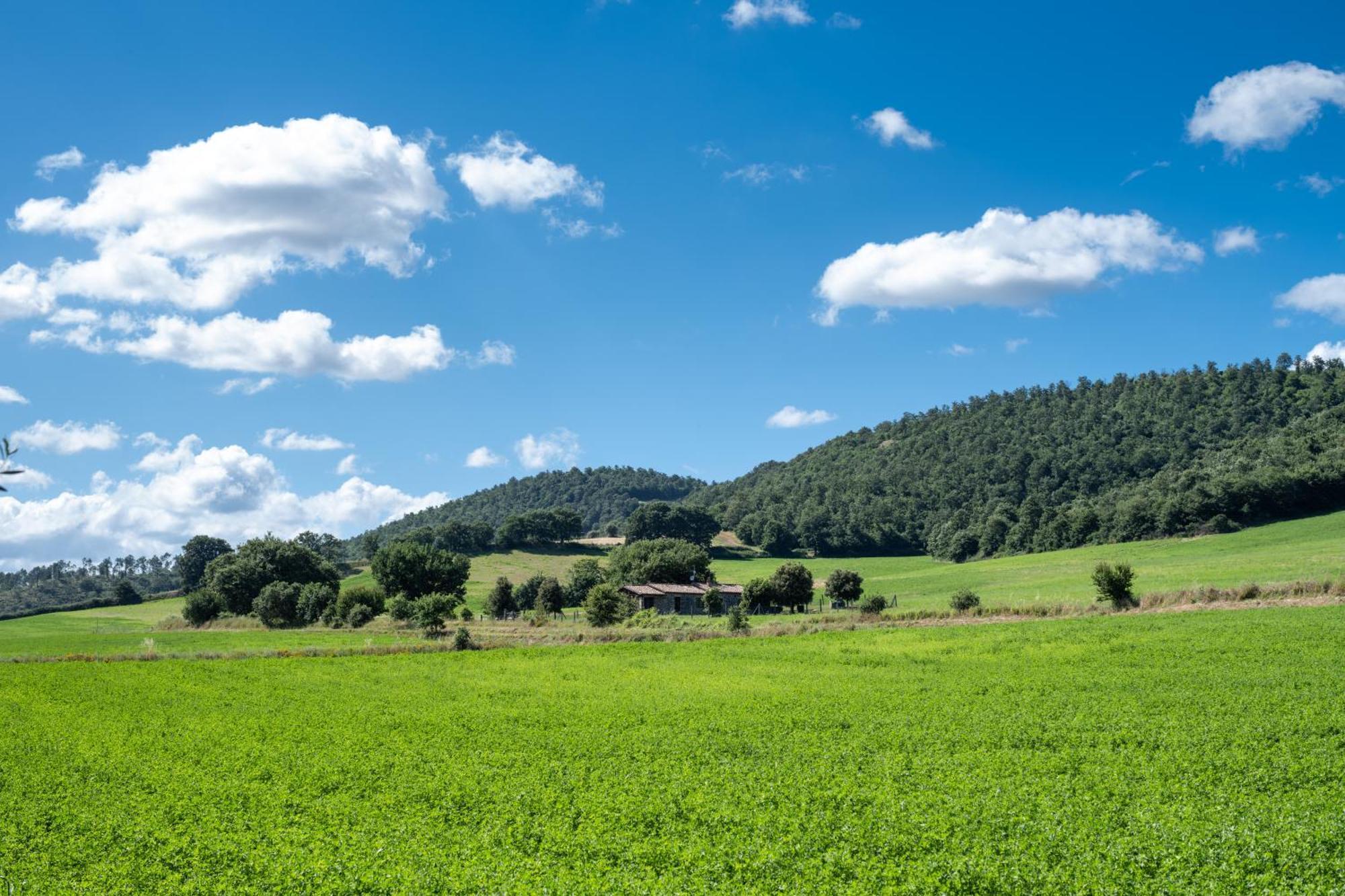 Agri Relais Il Poderaccio Di Bolsena Vila Exterior foto