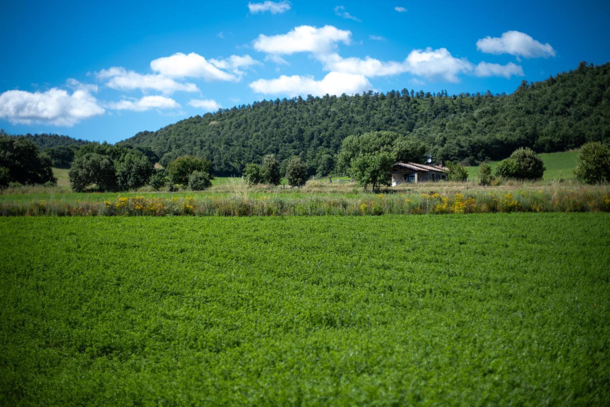 Agri Relais Il Poderaccio Di Bolsena Vila Exterior foto