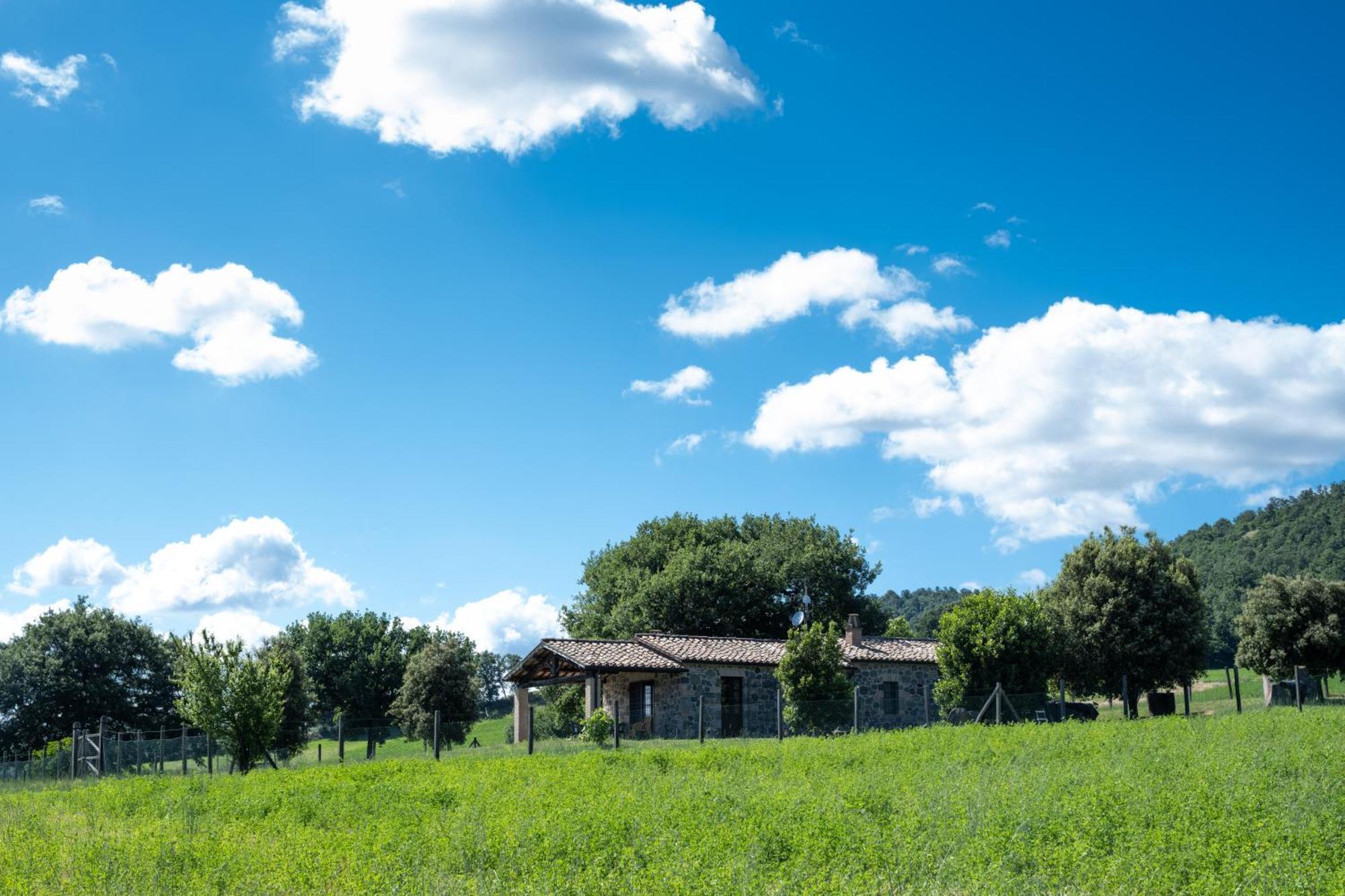 Agri Relais Il Poderaccio Di Bolsena Vila Exterior foto