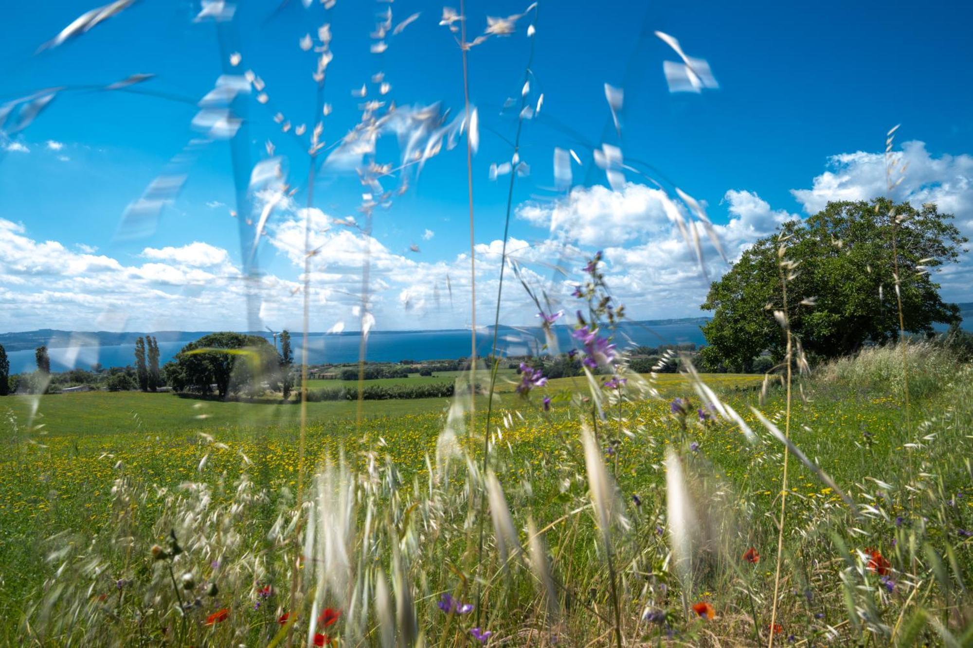 Agri Relais Il Poderaccio Di Bolsena Vila Exterior foto