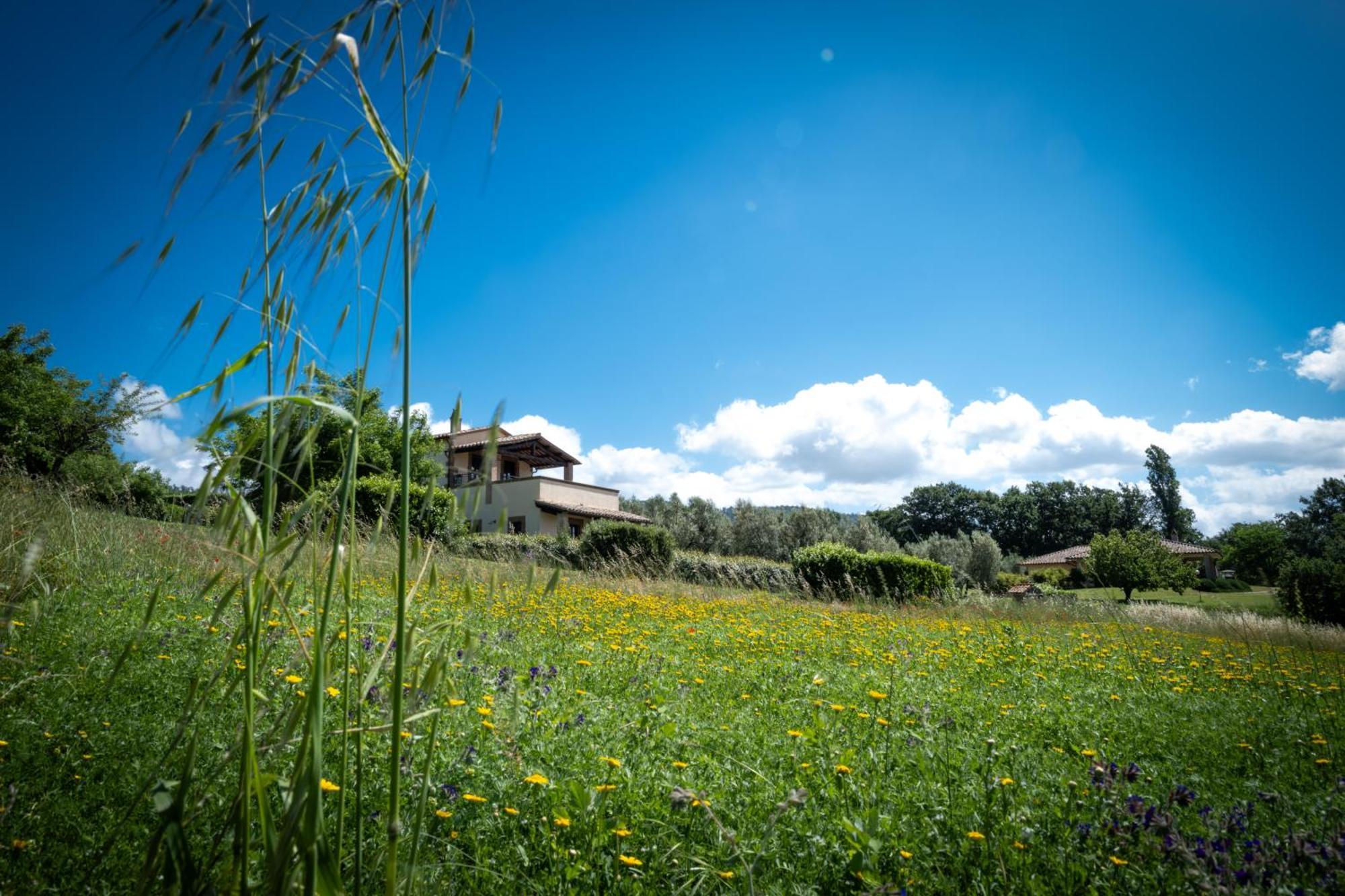 Agri Relais Il Poderaccio Di Bolsena Vila Exterior foto