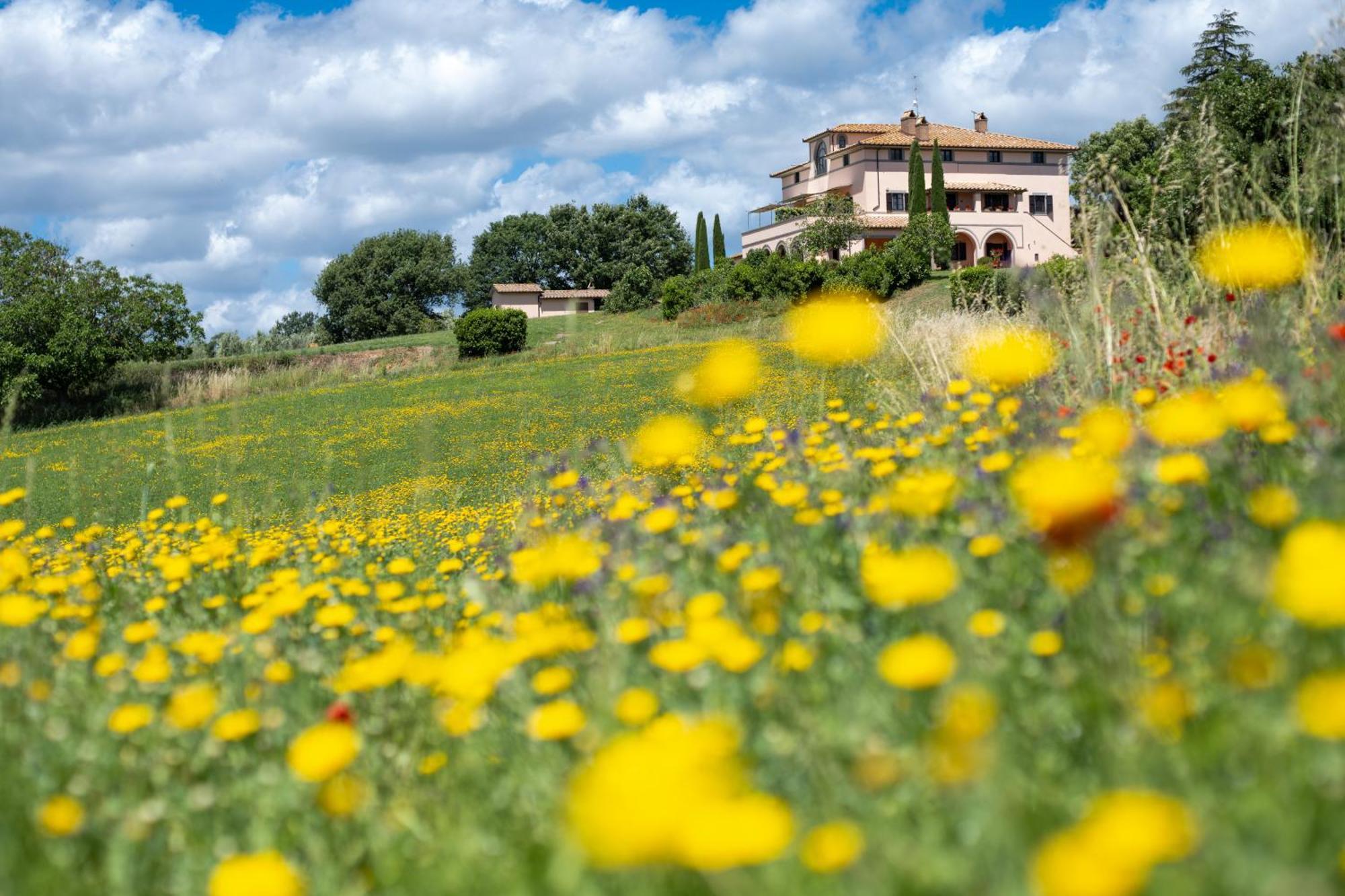 Agri Relais Il Poderaccio Di Bolsena Vila Exterior foto